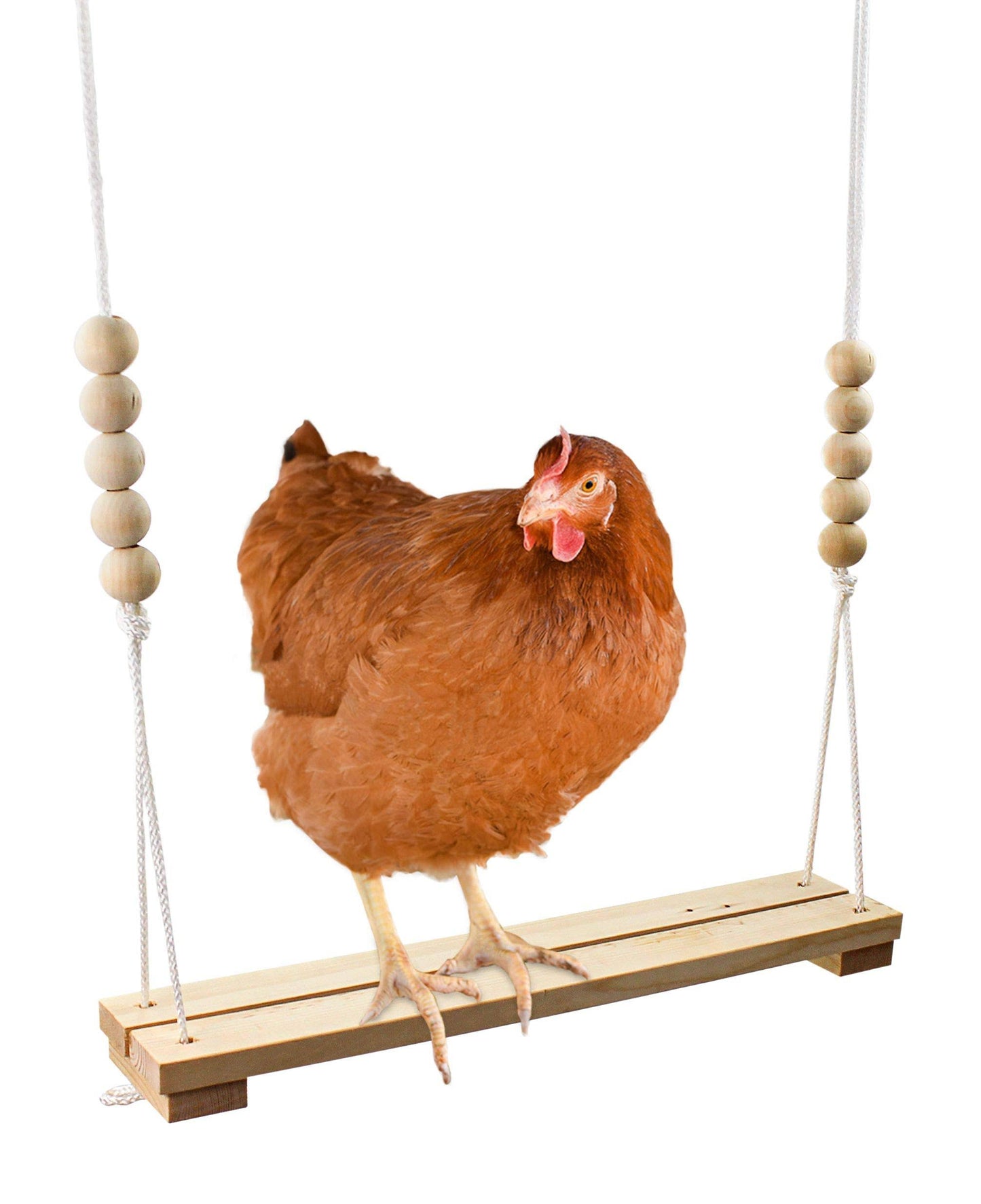 Chicken Swing Toy for Coop Handmade in USA Natural Safe Wooden Accessories Large Durable Perch Ladder for Poultry Run Rooster Hens Chicks Pet Parro